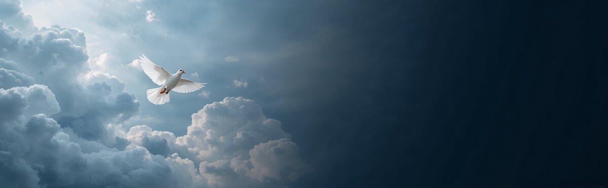 Cartes de condoléances gratuites